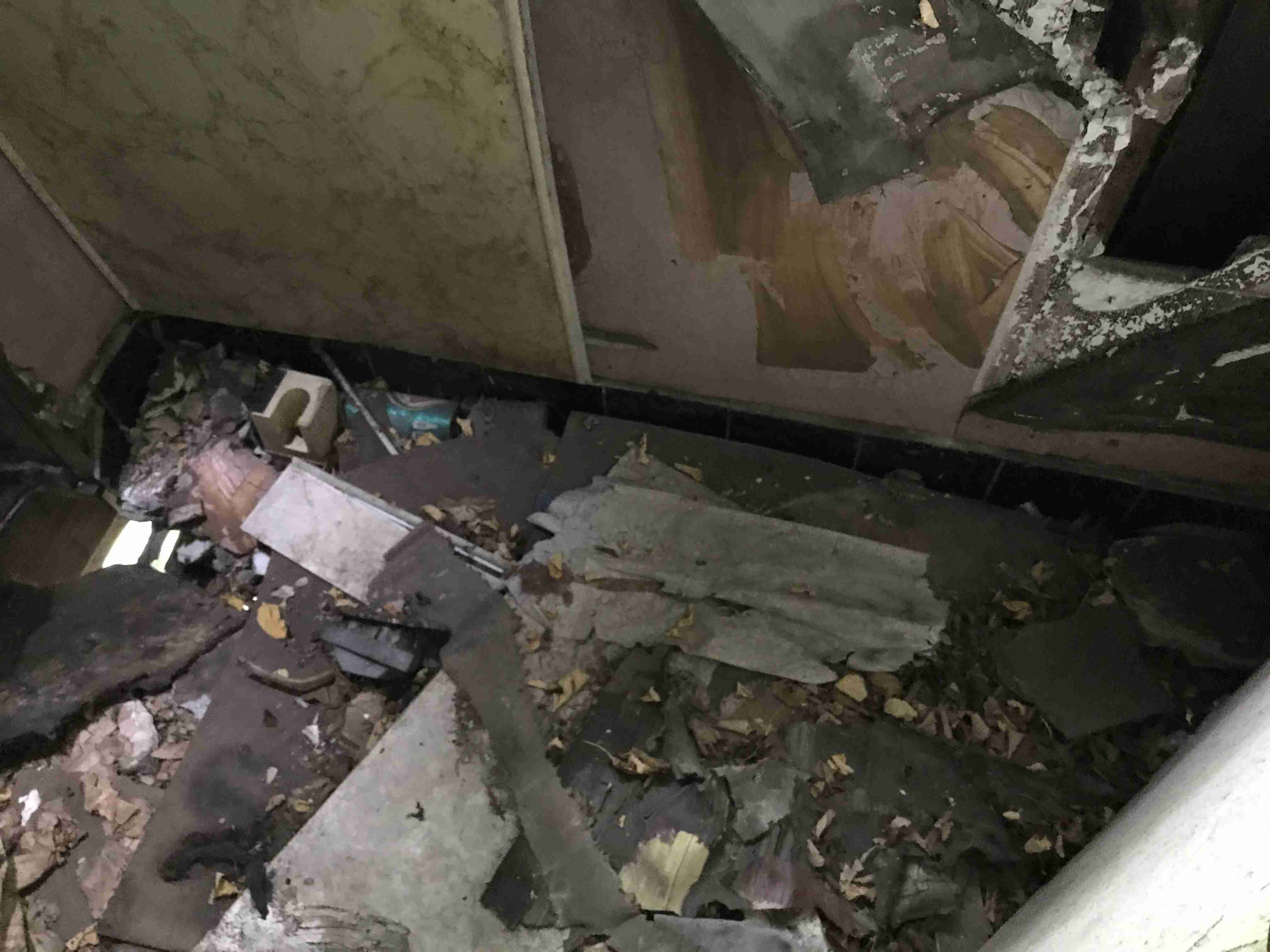 Photo Sep 10, 12 48 10 PM.jpg